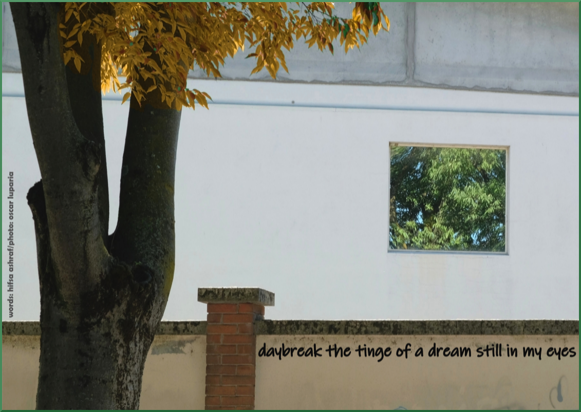 Ashraf Luparia daybreak