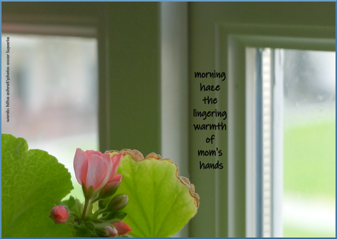 Ashraf Luparia morning haze